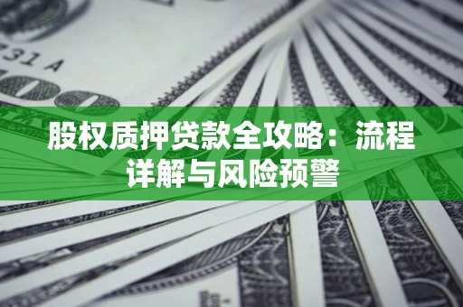 北京股权质押贷款全攻略：流程详解与风险预警