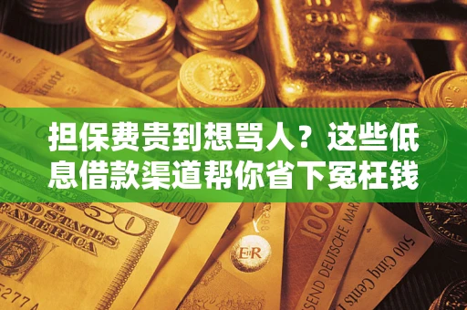 北京担保费贵到想骂人？这些低息借款渠道帮你省下冤枉钱