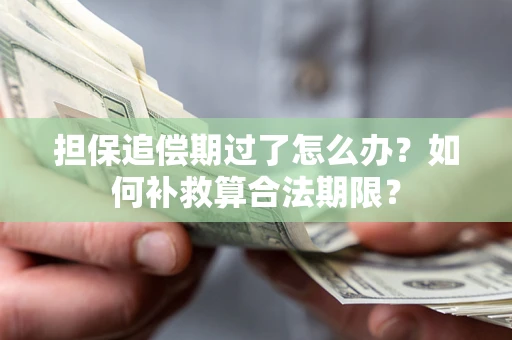 北京担保追偿期过了怎么办？如何补救算合法期限？