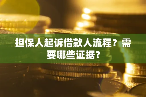 北京担保人起诉借款人流程？需要哪些证据？