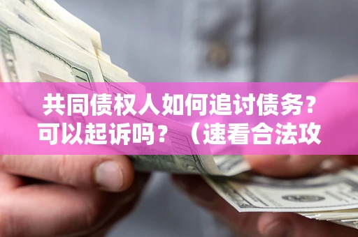 北京共同债权人如何追讨债务？可以起诉吗？（速看合法攻略）